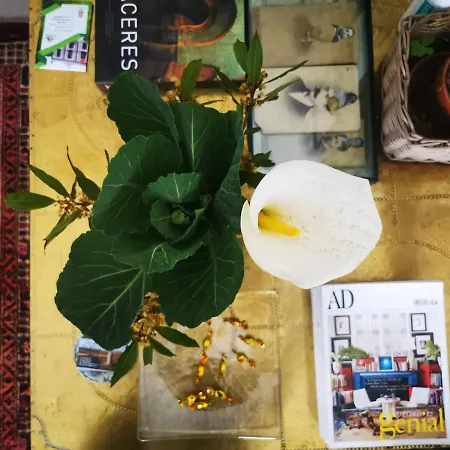 컨트리하우스 Casa Batalla