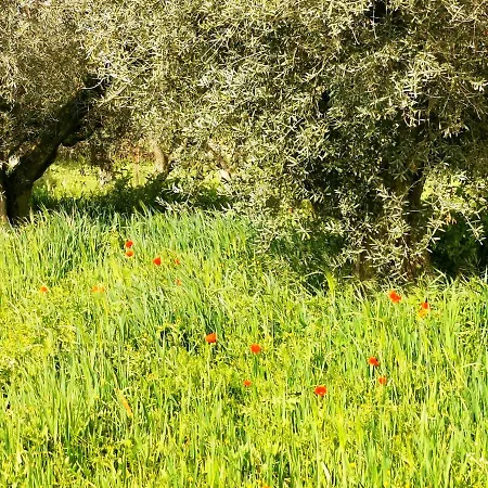 컨트리하우스 Casa Batalla Casar de Cáceres