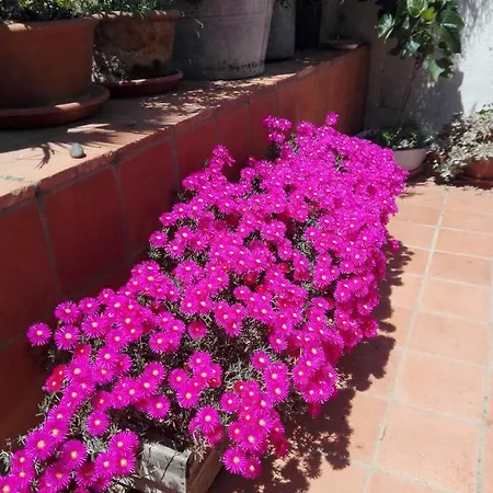 Casa Batalla Casar de Cáceres