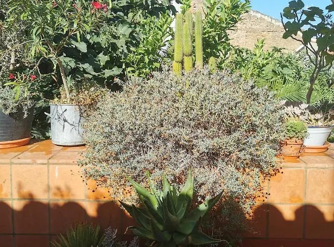 Casa Batalla Casar de Cáceres