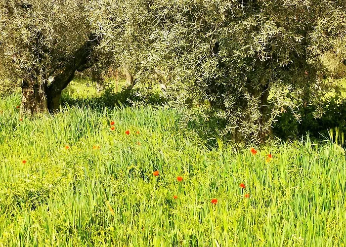 Casa rural Casa Batalla Casar de Cáceres