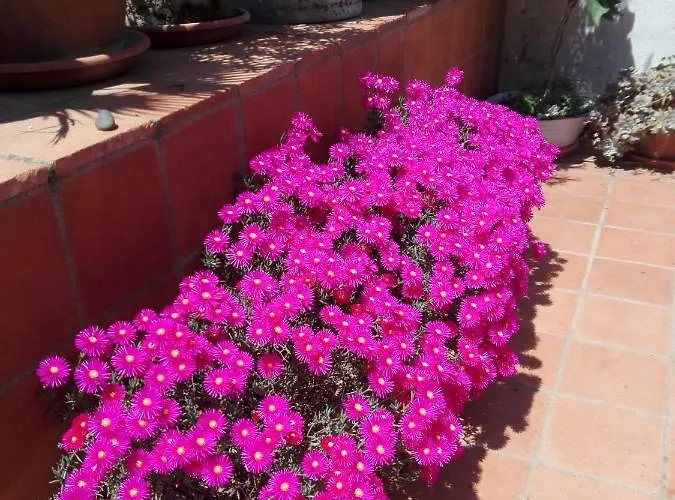 Casa Batalla Casar de Cáceres